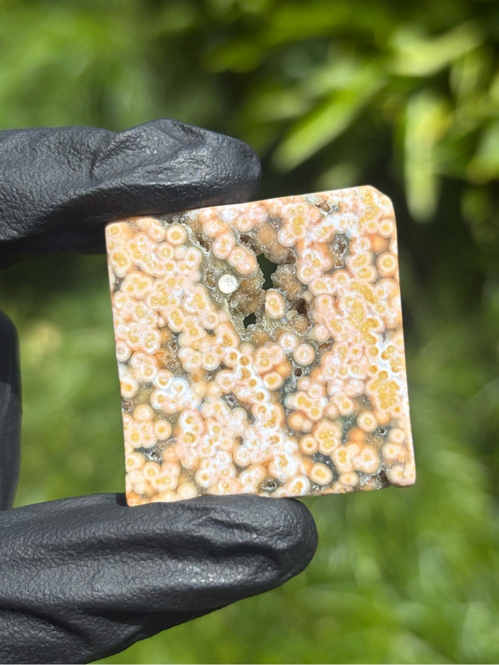 Ocean Jasper Small Square Slab - Polished Orbicular Jasper - Sea Jasper